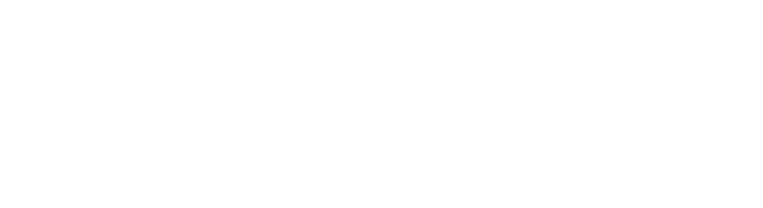 MISSION