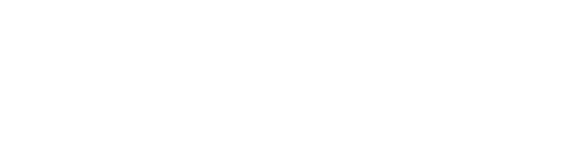 VISION